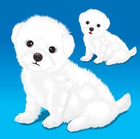 Animals - Puppy vector 2 