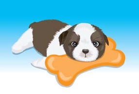 Animals - Puppy vector 3 