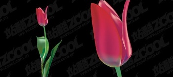 Purple tulip vector material