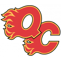 Hockey - Quad City Flames 