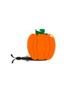 Animals - Rabbit Pumpkin 