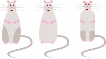 Animals - Rat clip art 