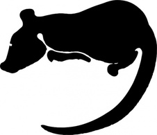 Animals - Rat Silhouette clip art 