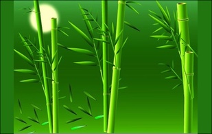Objects - Real bamboo vector material 
