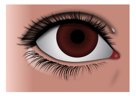 Realistic Brown Eye Preview