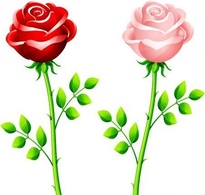 Flowers & Trees - Red and pink rose 