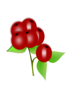 Food - Red berry 