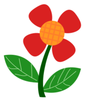 Red Flower