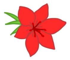 Red flower Preview