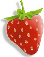 Food - Red Food Fruit Cartoon Strawberry Plant Berry Strawberries Edible 