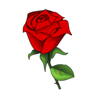 Red Rose