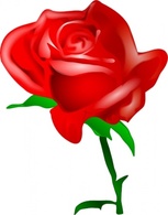 Nature - Red Rose clip art 