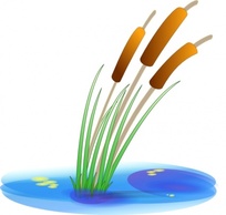 Reed clip art Preview