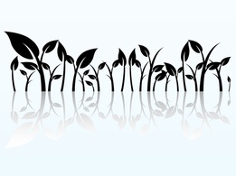 Reflected Plant Graphics Preview