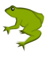 Animals - Remix - Frog 