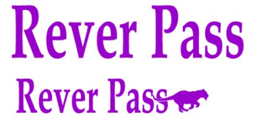 Rever Pass 