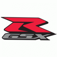 Auto - RGSX Logo 