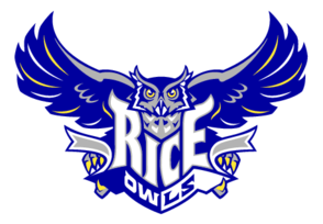 Rice Owls