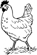 Animals - Rooster clip art 