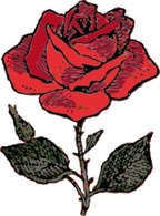 Flowers & Trees - Rose clip art 