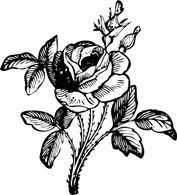 Flowers & Trees - Rose clip art 