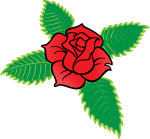 Rose Cross Flower Vector 