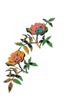 Flowers & Trees - Rose decoration in color 