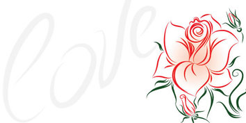 Rose Flower Vector