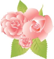 Flowers & Trees - Rose Flower Vetor 31 