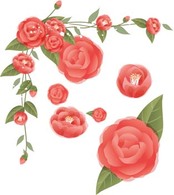 Flowers & Trees - Rose Flower Vetor 37 