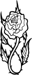 Rose Vector Image 