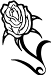 Rose Vector Image 