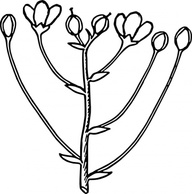 Flowers & Trees - Roses Flower Arrangement clip art 
