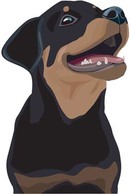 Rottweiler 4 Preview