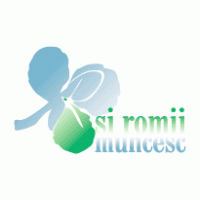 Services - Rsi Romii Muncesc 