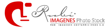 Rubi Imagenes Photo Stock