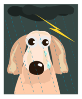 Sad Dog IN The Rain Preview