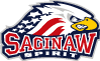 Saginaw Spirit Vector Logo 