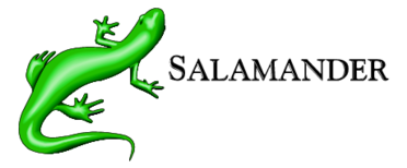 Salamander