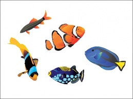 Saltwater Fish Preview