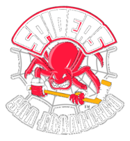 San Francisco Spiders