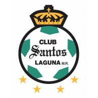 Football - Santos Campeon 