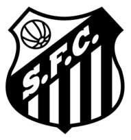 Santos Futebol Clube De Sao Borja Rs