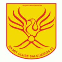 SC Salgueiros 08