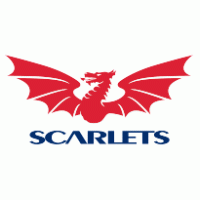 Scarlets Preview