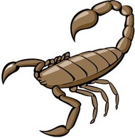 Scorpion 2