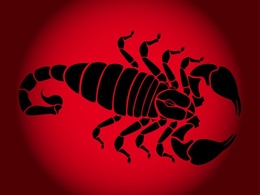 Animals - Scorpion Silhouette 