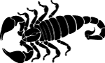 Animals - Scorpion Vector Image 