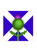 Flowers & Trees - Scottish Thistle and flag 