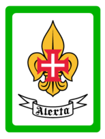 Scouts Of Portugal 